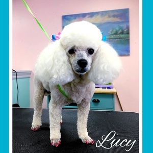 Meet your Posher, Jodie